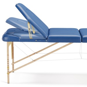 Massage new model Blue + paper Roll holder