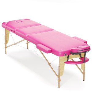 Massage new model-Pink + Holder