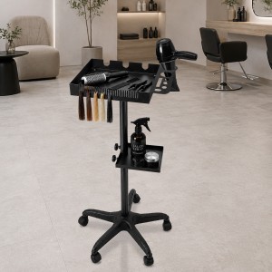 Chariot professionnel en fer avec 5 roulettes