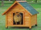 Kennel for Dog wood