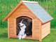 Kennel for Dog wood