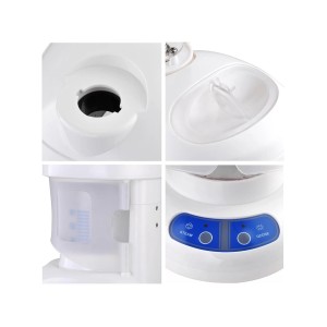 Vapeur multifonctionnelle de cheveux et visage