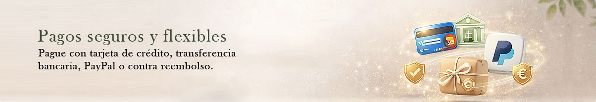 Pagos desktop